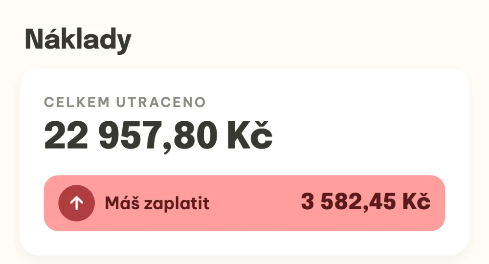 Karta Náklady v detailu akce s celkovou útratou a částkou Máš zaplatit